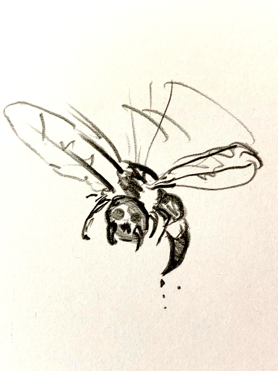 Blutbienen